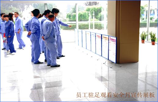 加拿大28预测网