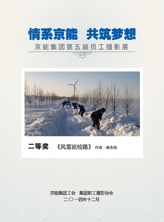 加拿大28预测网