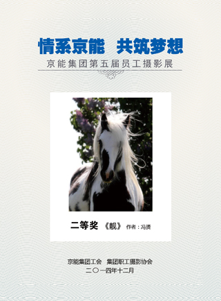 加拿大28预测网