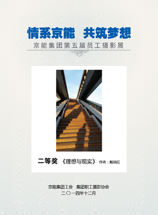 加拿大28预测网