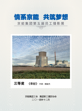 加拿大28预测网
