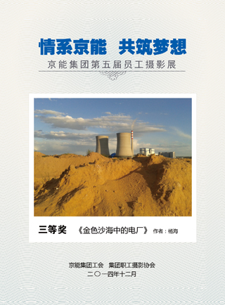 加拿大28预测网