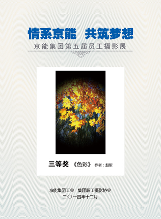 加拿大28预测网