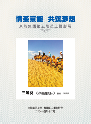 加拿大28预测网