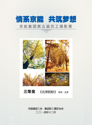 加拿大28预测网