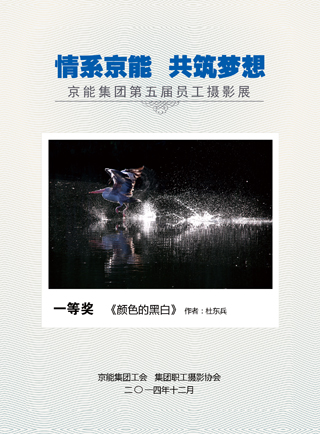 加拿大28预测网
