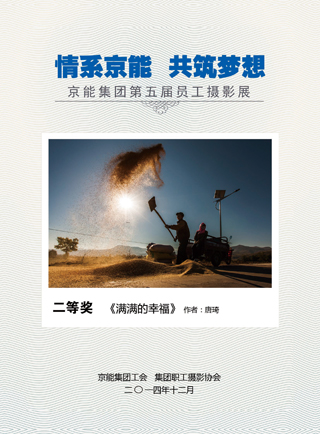 加拿大28预测网