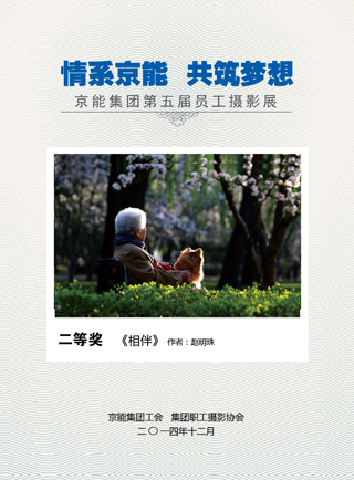加拿大28预测网