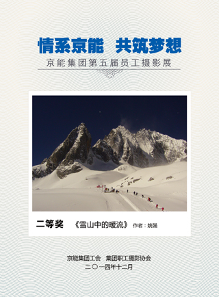 加拿大28预测网