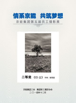 加拿大28预测网