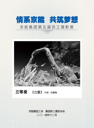 加拿大28预测网