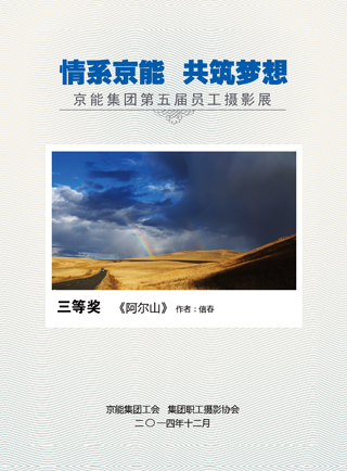加拿大28预测网