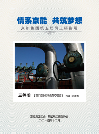 加拿大28预测网