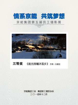 加拿大28预测网