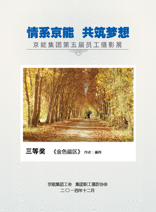 加拿大28预测网