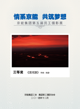 加拿大28预测网