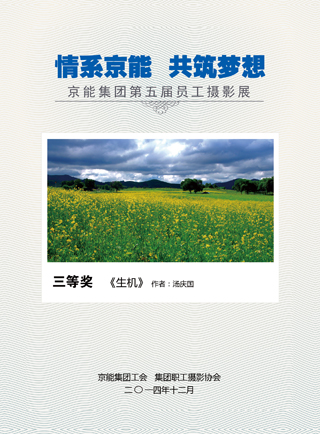 加拿大28预测网