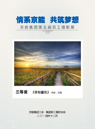 加拿大28预测网