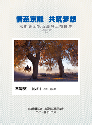 加拿大28预测网