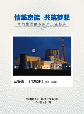 加拿大28预测网