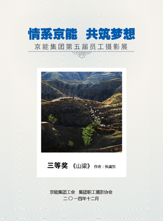 加拿大28预测网