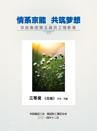 加拿大28预测网