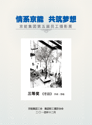 加拿大28预测网