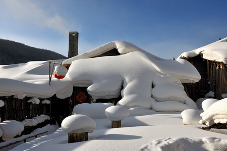 加拿大28预测网