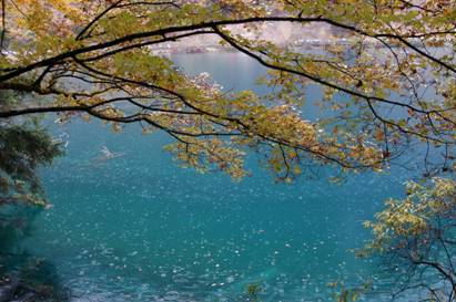 加拿大28预测网