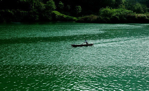 加拿大28预测网