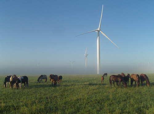 加拿大28预测网