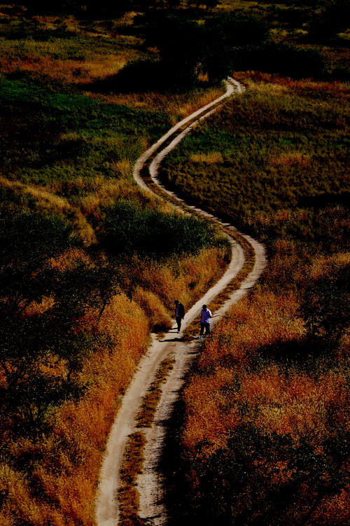 加拿大28预测网