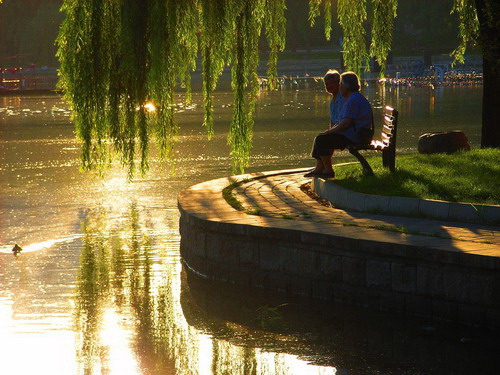 加拿大28预测网