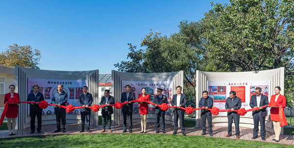 加拿大28预测网