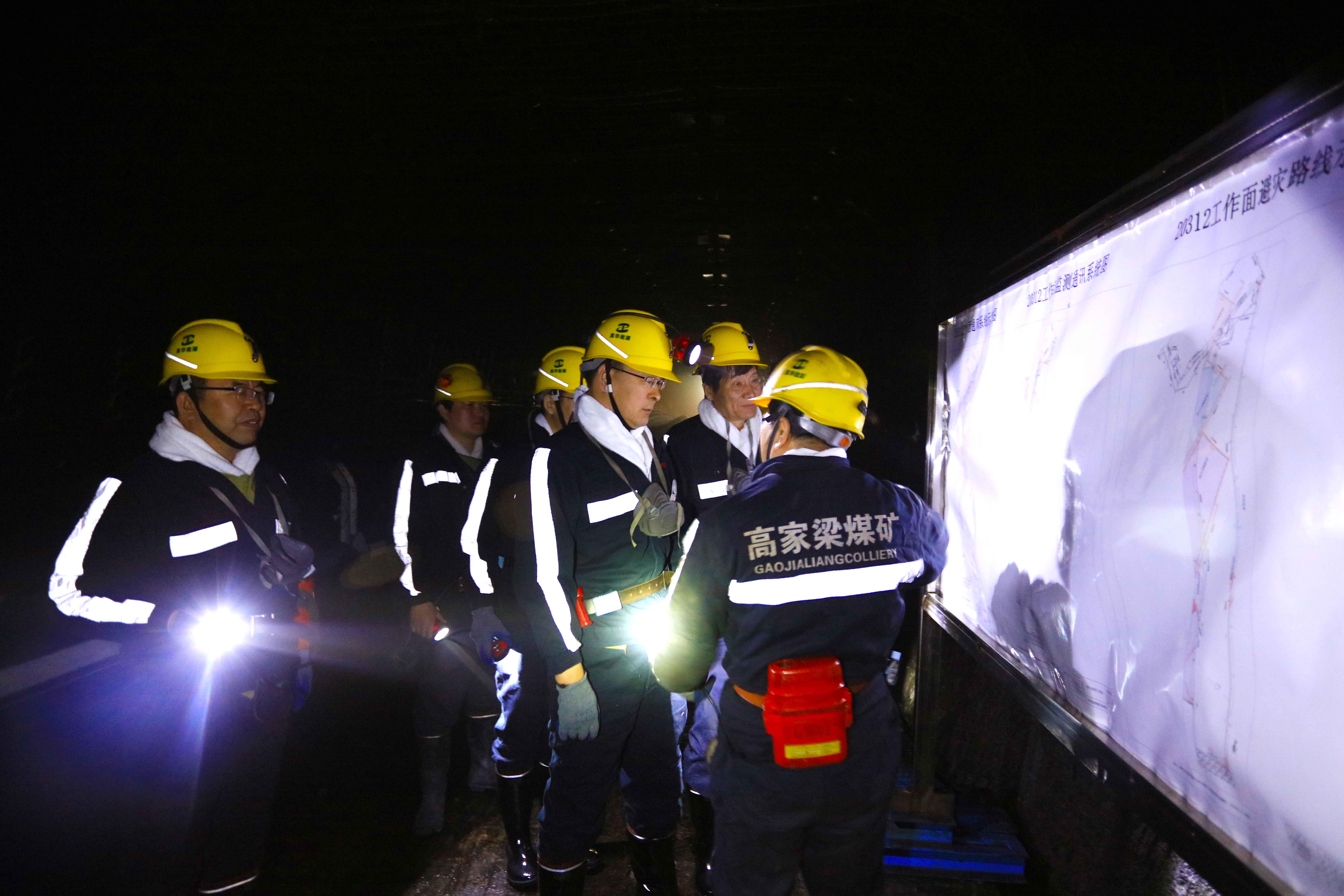 加拿大28预测网