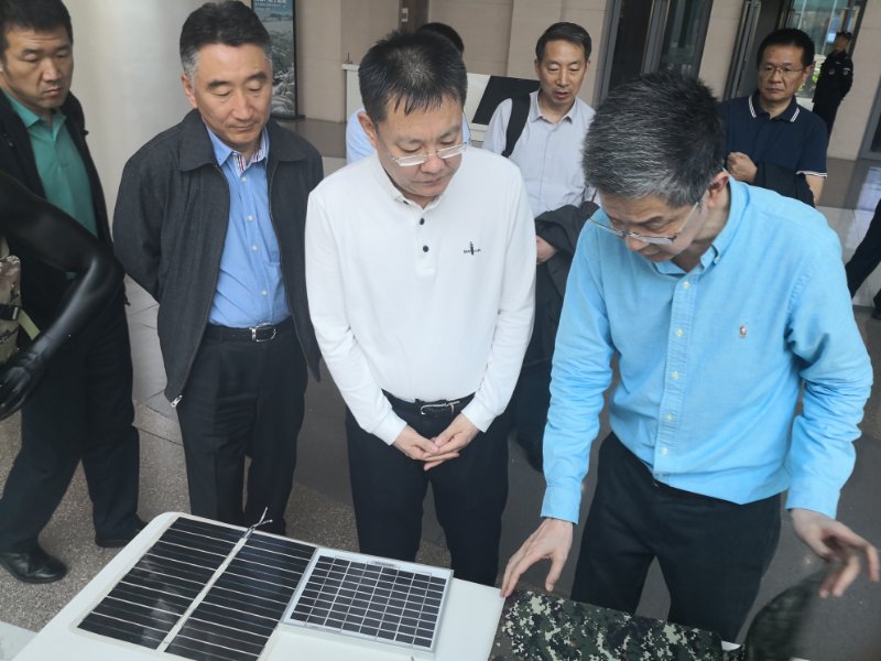 加拿大28预测网