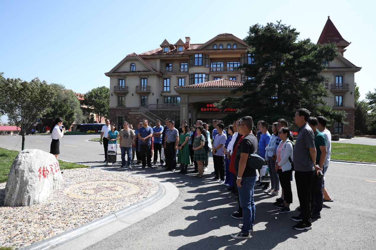 加拿大28预测网