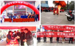 加拿大28预测网