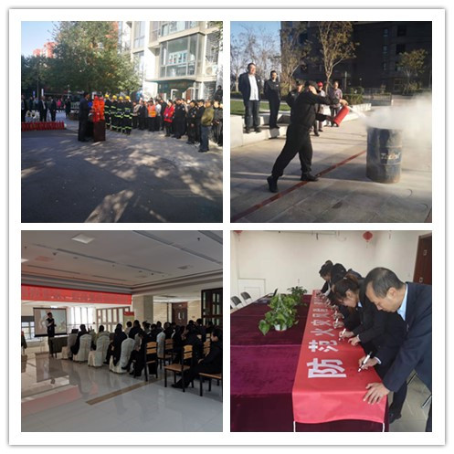 加拿大28预测网