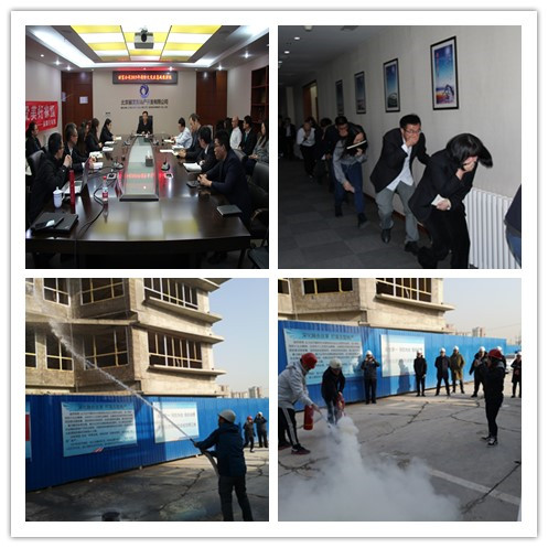 加拿大28预测网