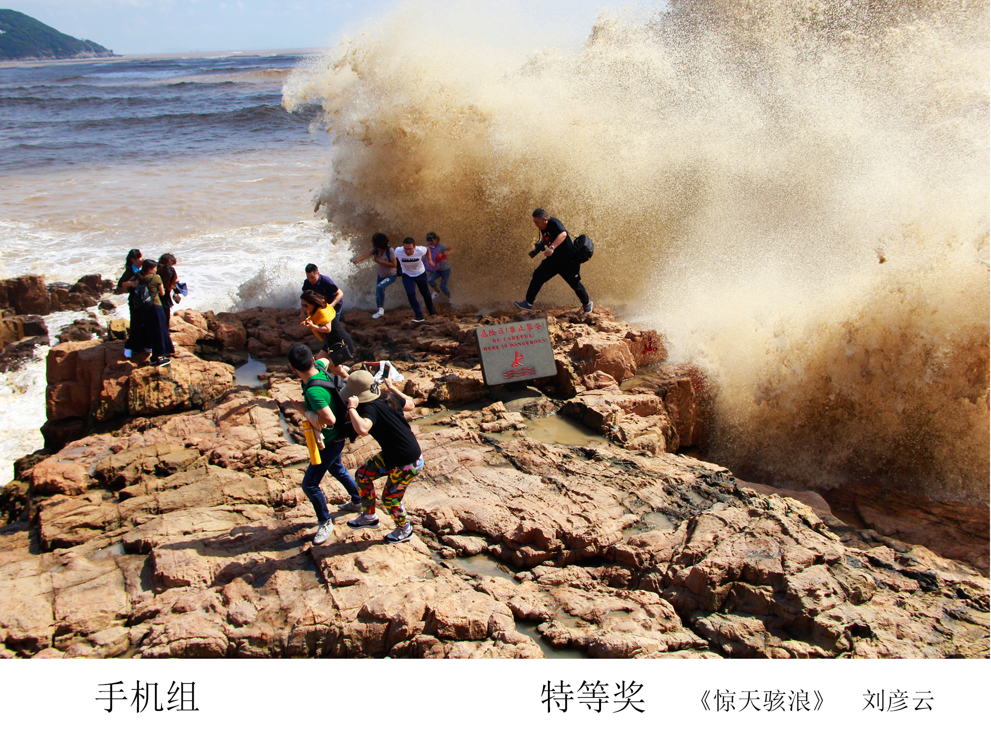 加拿大28预测网