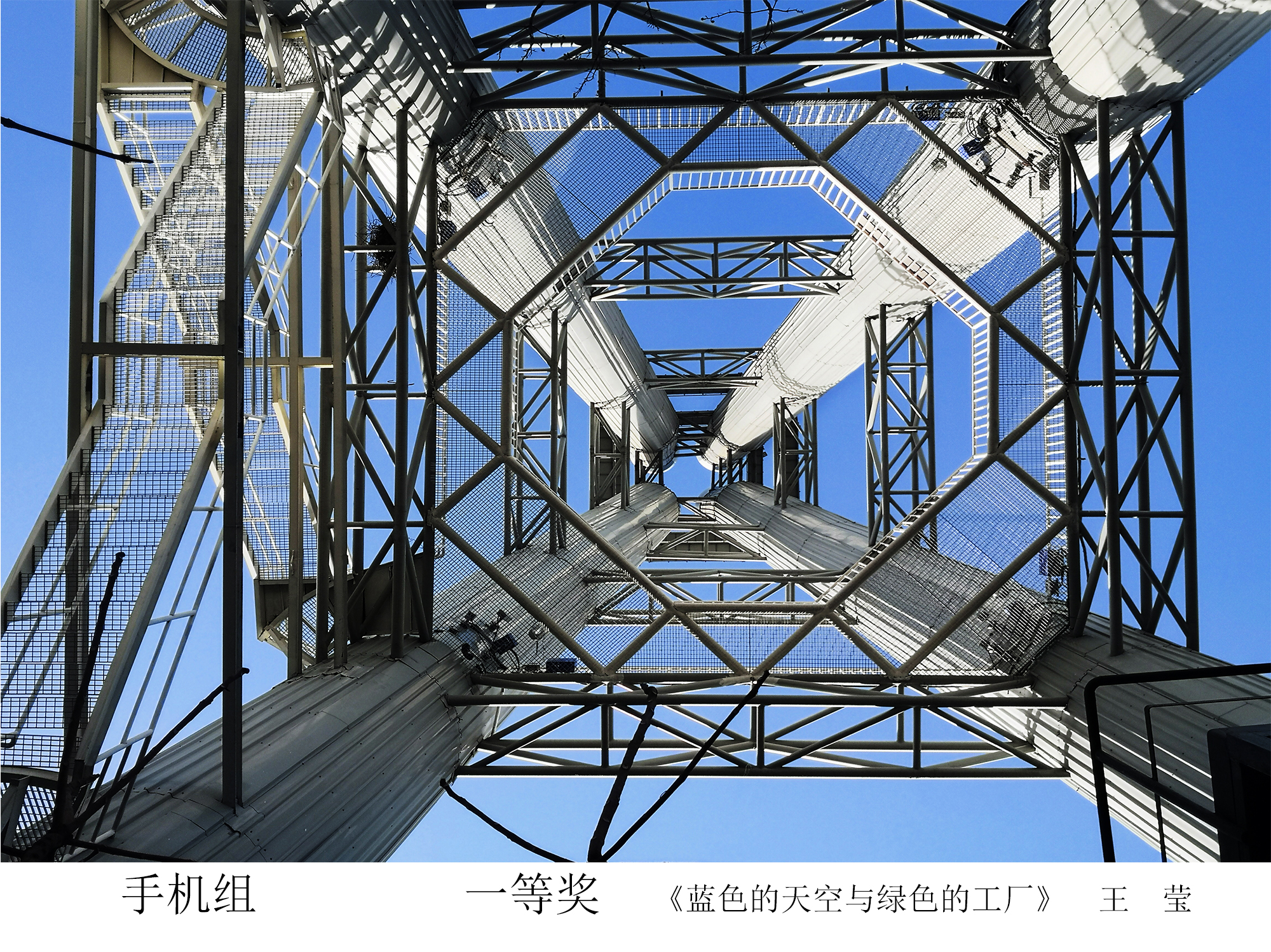 加拿大28预测网