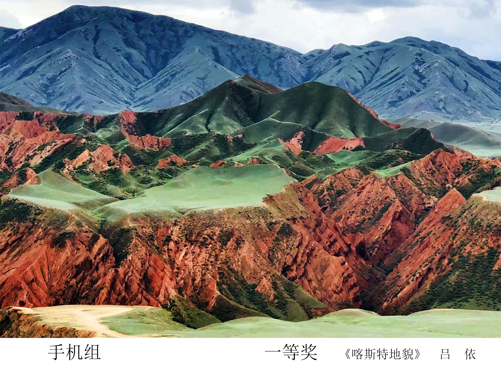 加拿大28预测网