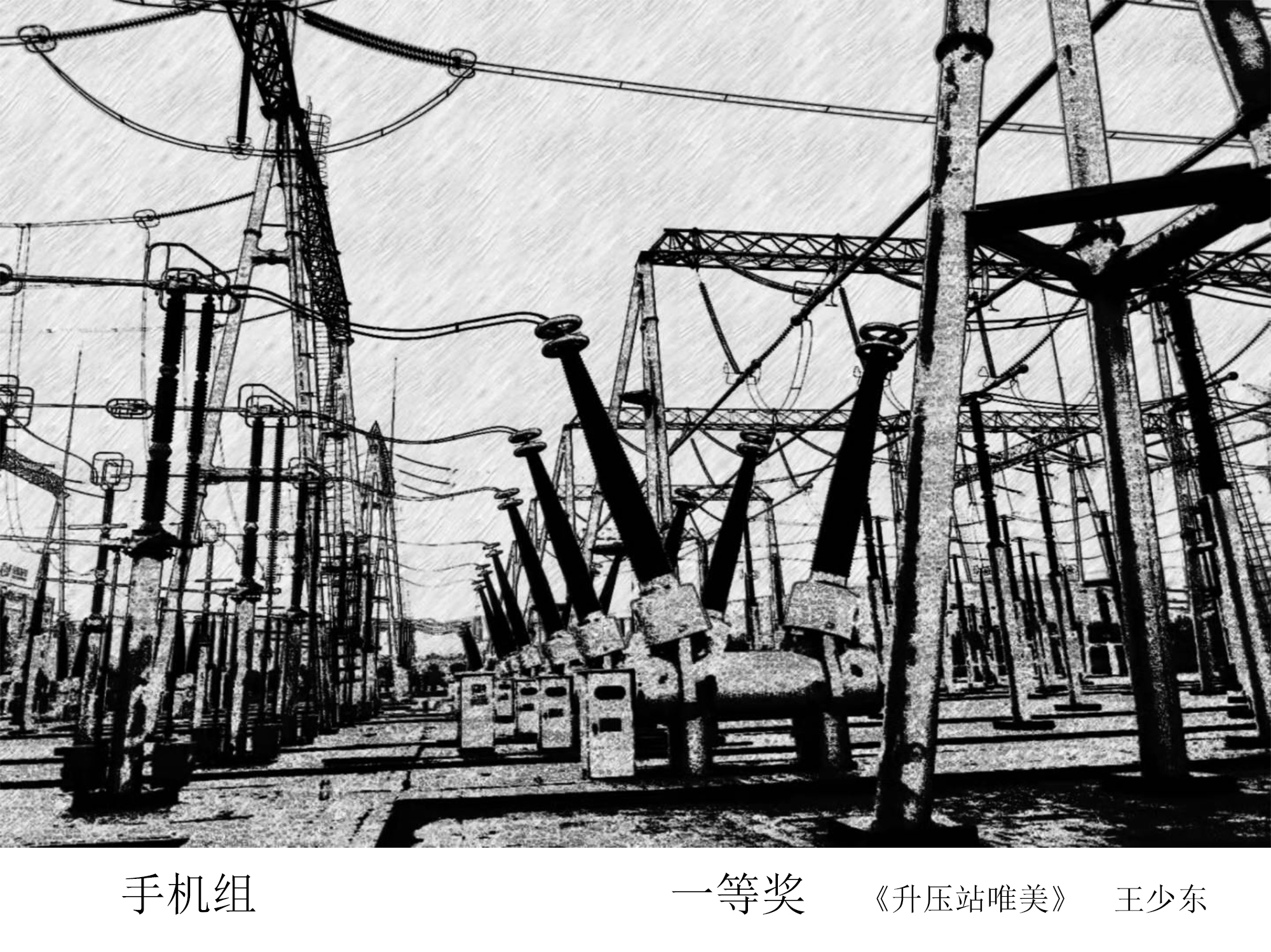 加拿大28预测网