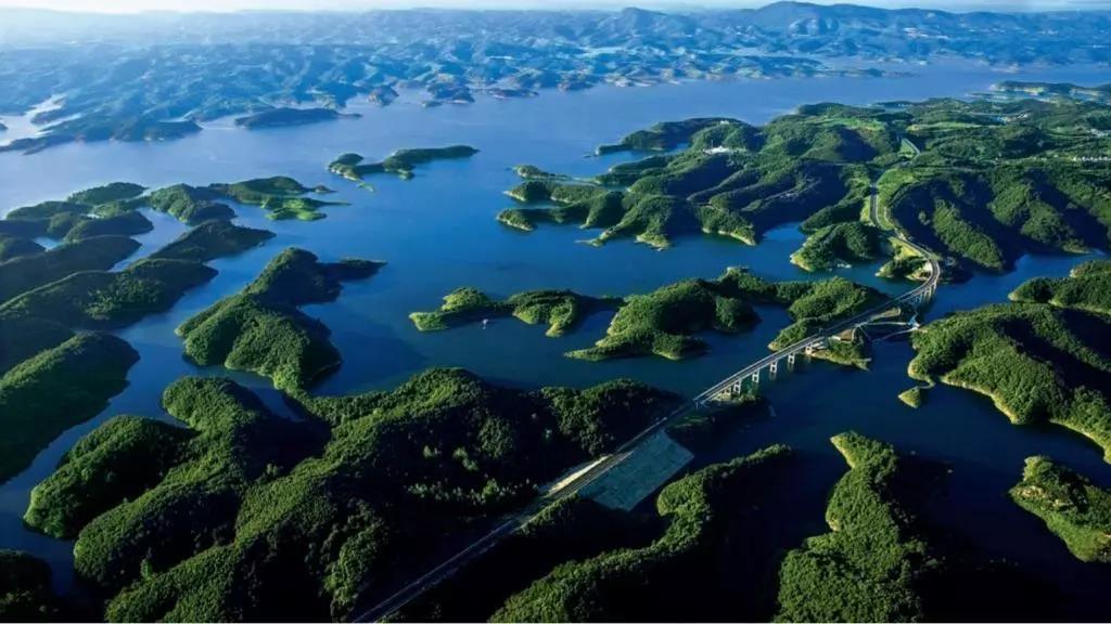 加拿大28预测网