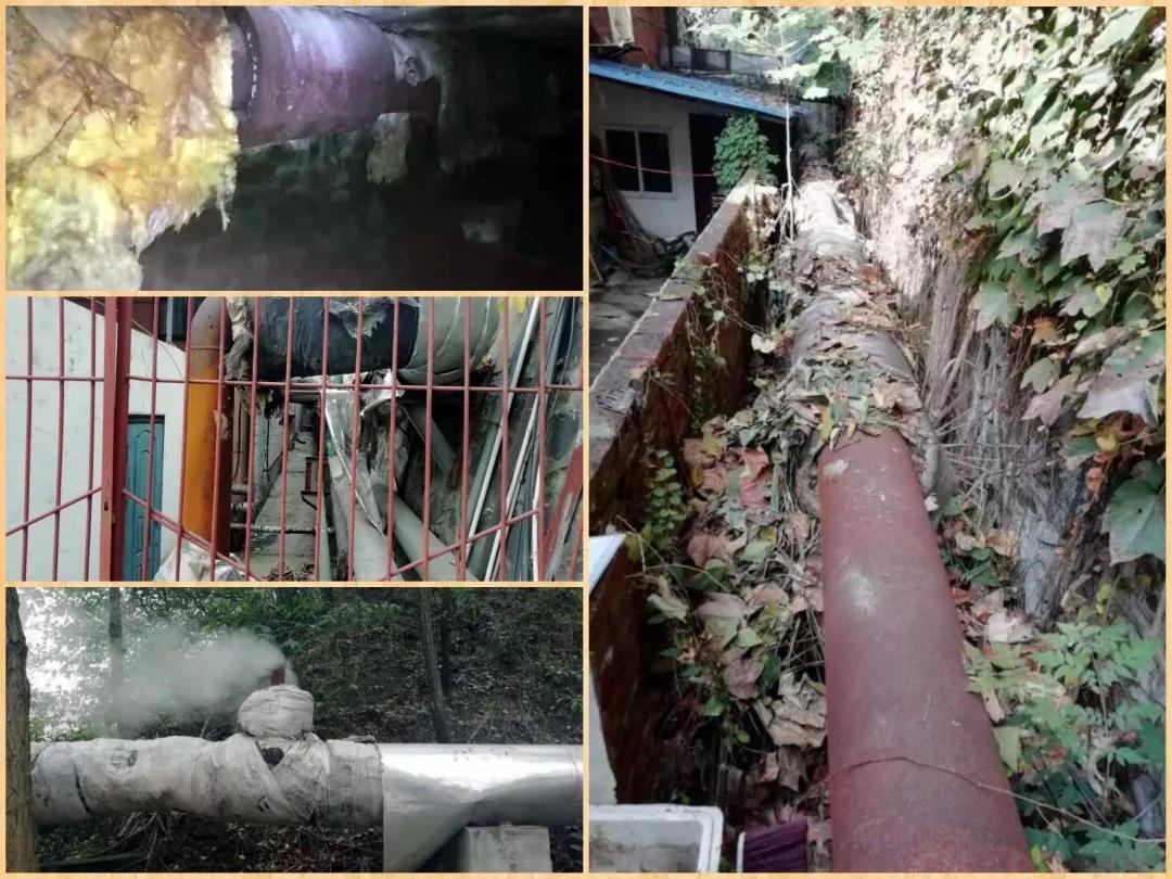 加拿大28预测网