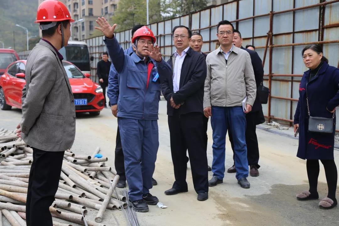 加拿大28预测网