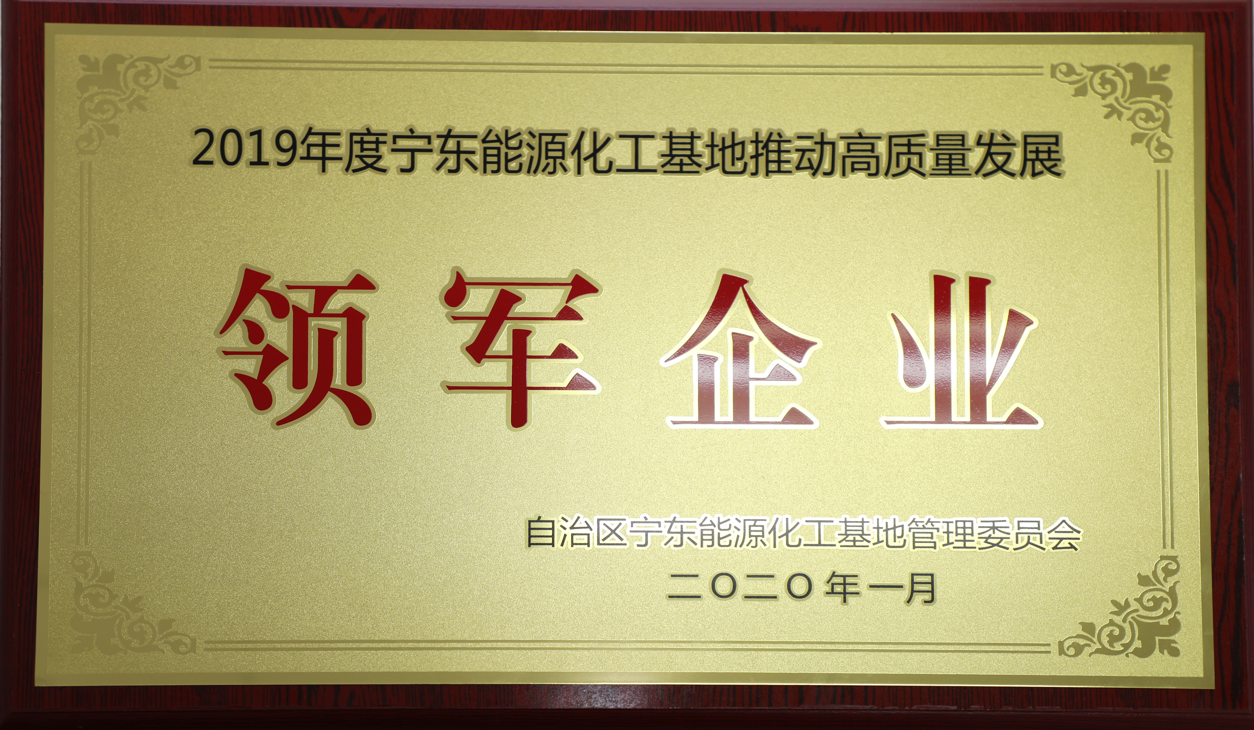 加拿大28预测网