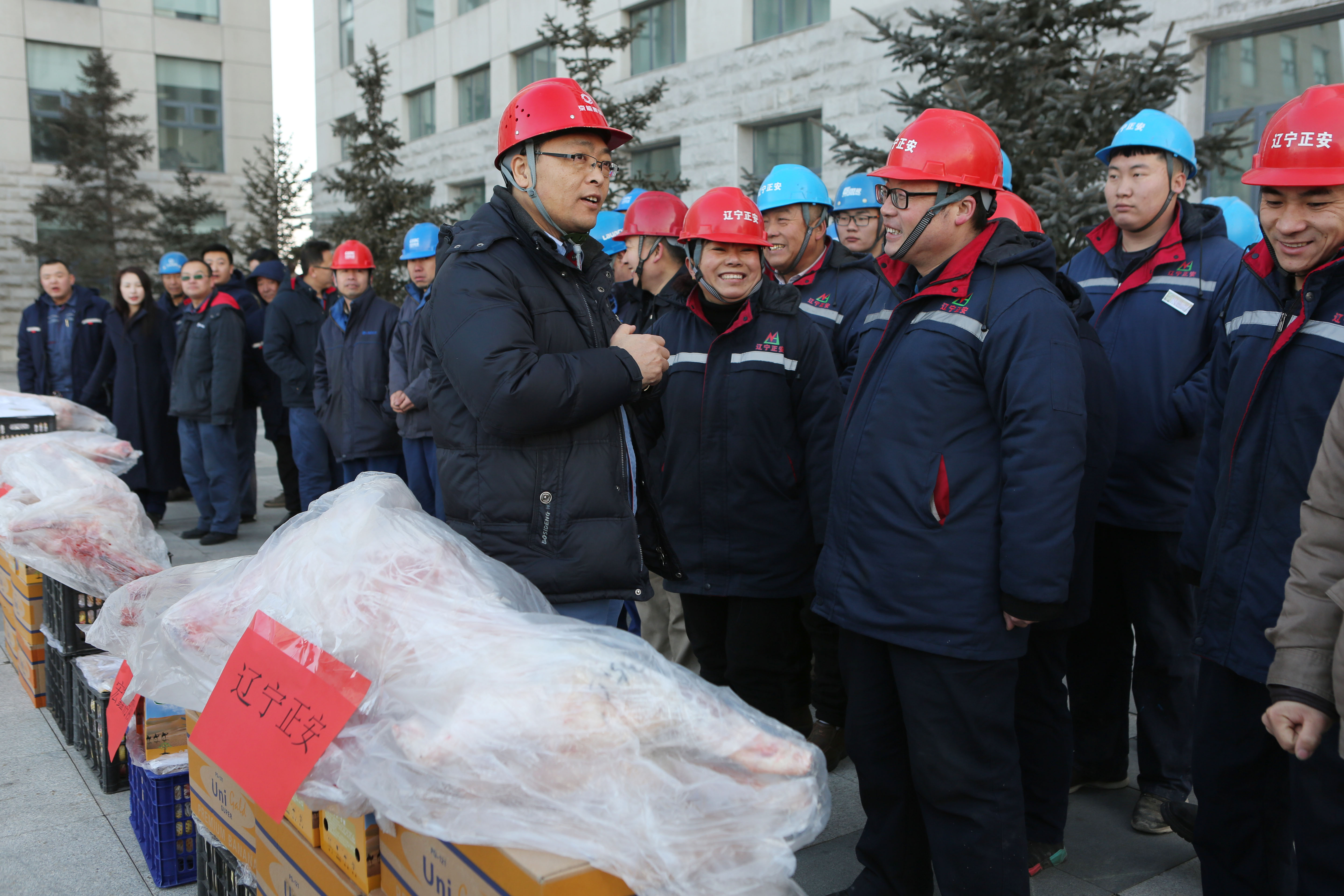 加拿大28预测网