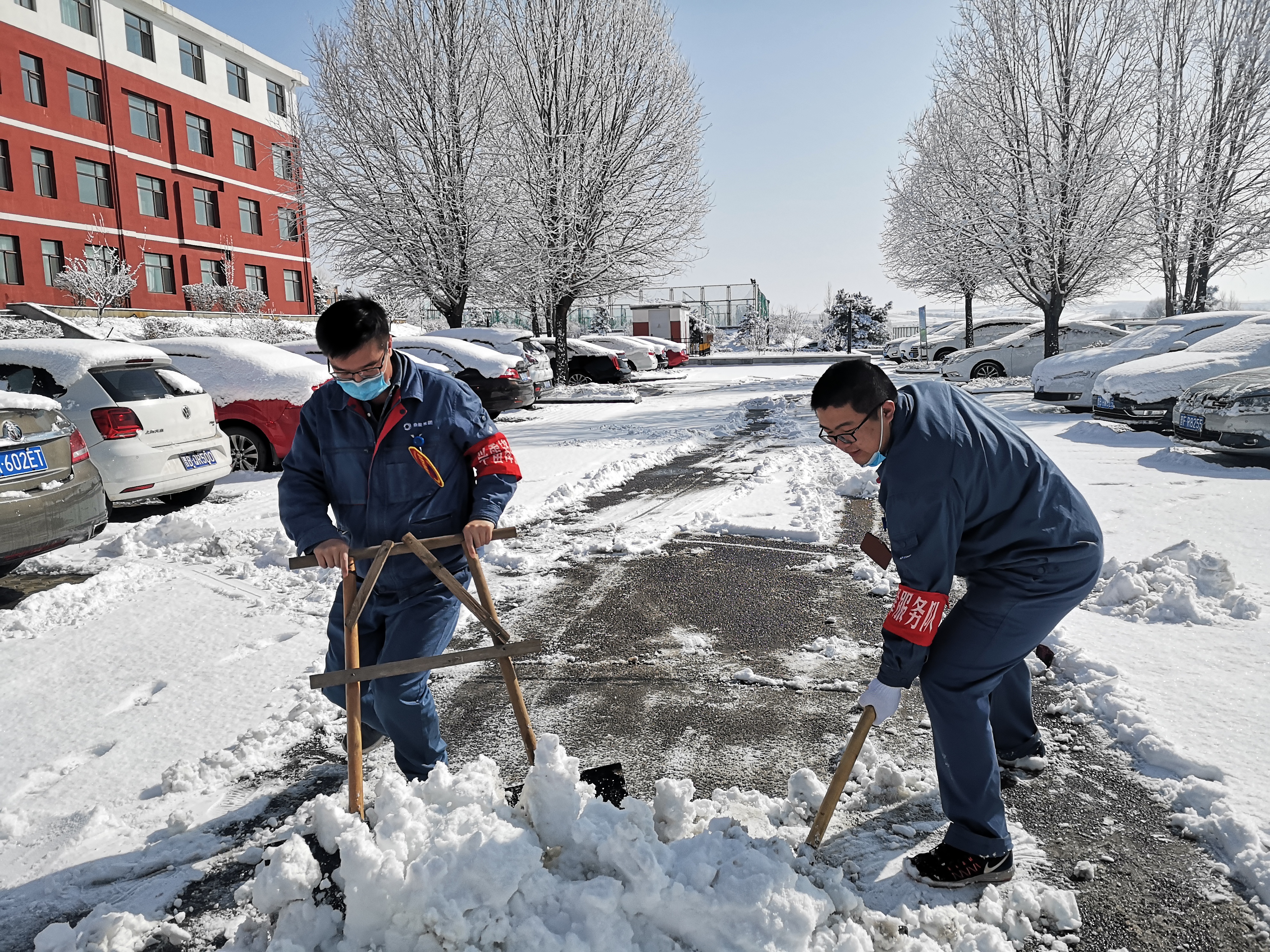 加拿大28预测网